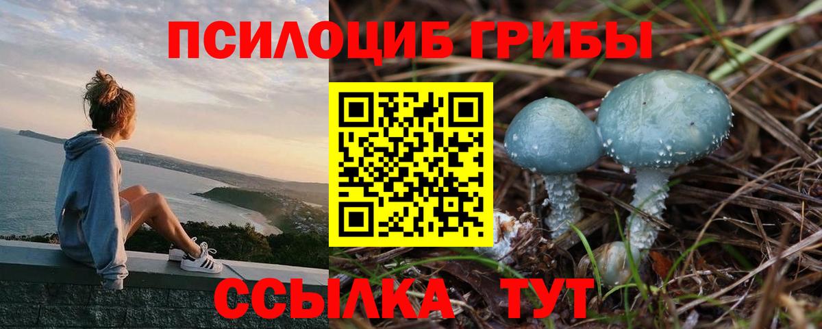 Псилоцибиновые грибы MAGIC MUSHROOMS  Вход с VPN  Ликино-Дулёво 